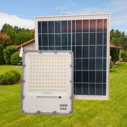 Reflector Solar 300W